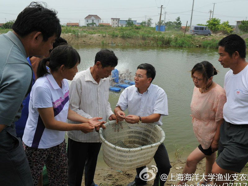 728ϺW(xu)OI(y)Ƽ֧r(nng)(w)F|hLɳ(zhn)}MпƼ֧r(nng)(w)DF꠼g(sh)ָ(do)犲ʿB(yng)ֳv~ƌW(xu)B(yng)ֳķ