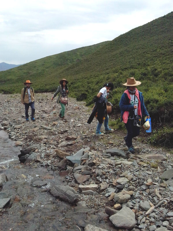 7��22�����m�ݴ�W�Gɫ�I�F꠹������c����?q��)����{(di��o)����꠆T������?sh��)ص��������f�ֲ����݈���r������ι�B(y��ng)���h(hu��n)��׃���ȷ����M���˴��µ��˽����D��꠆T���ڮ�?sh��)��M��ֲ����R������