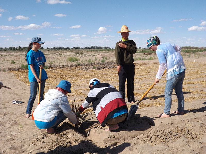 @N1.5ҊݸӣɳЧ^45͕L(fng)gҪa(b)