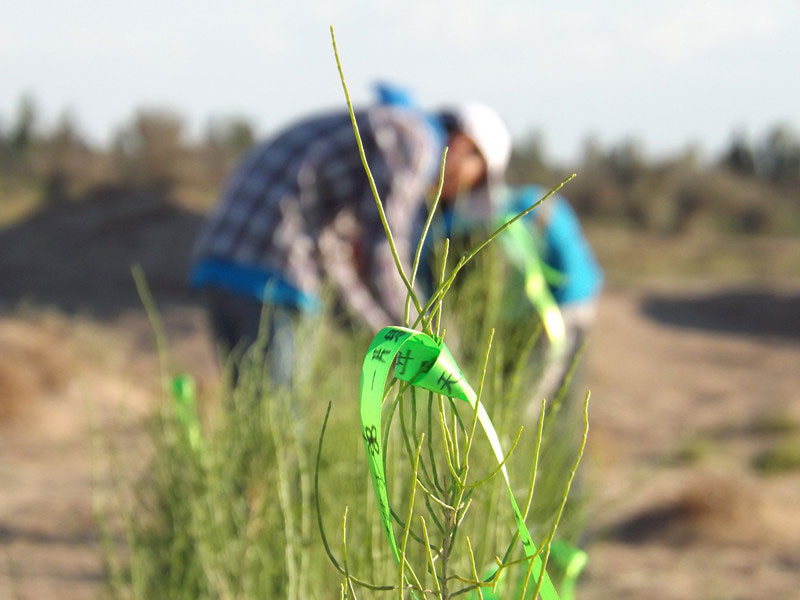 714ҁ֌ٛߵľGzϵͽzꖹҫWGɫĹâ