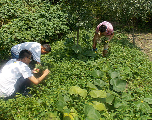 �ڶ������(du��)�T���_(k��i)ʼ��(l��i)�����B(t��i)�r(n��ng)��(ch��ng)�w�(y��n)�r(n��ng)��������������ժ����