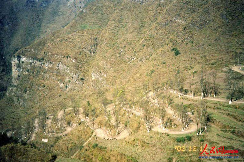 ��¡��24���ա�֮������ꐁ���?j��n)zӰ�� 