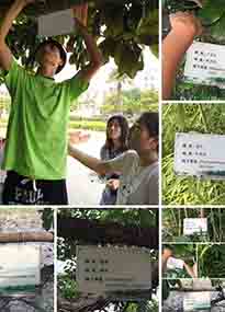 �K���r(n��ng)�WԺ�O(sh��)ӋУ�@ֲ����Ƭ�������K�r(n��ng)�Gɫ���}