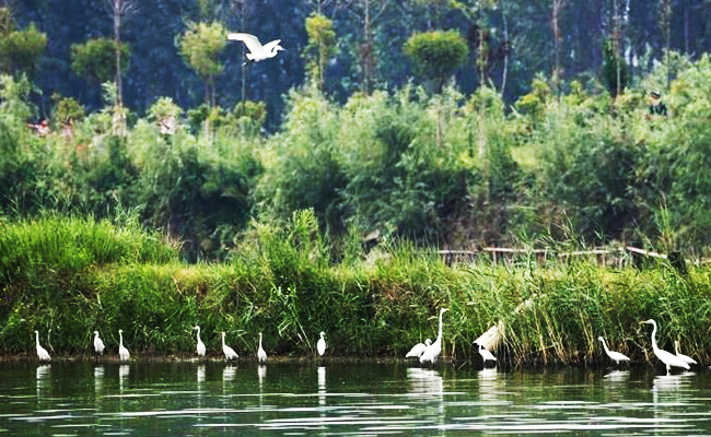 ͯԒ�ϼң���������Ԋ�����Ϙ���f����