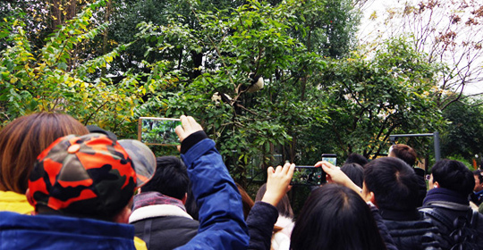 �@�����ӵ������ɶ����W(w��ng)�j(lu��)���ˁ��cٝ