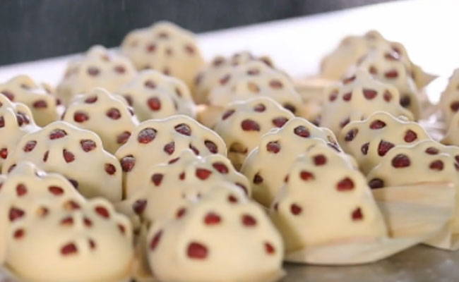 ���G�G�^����