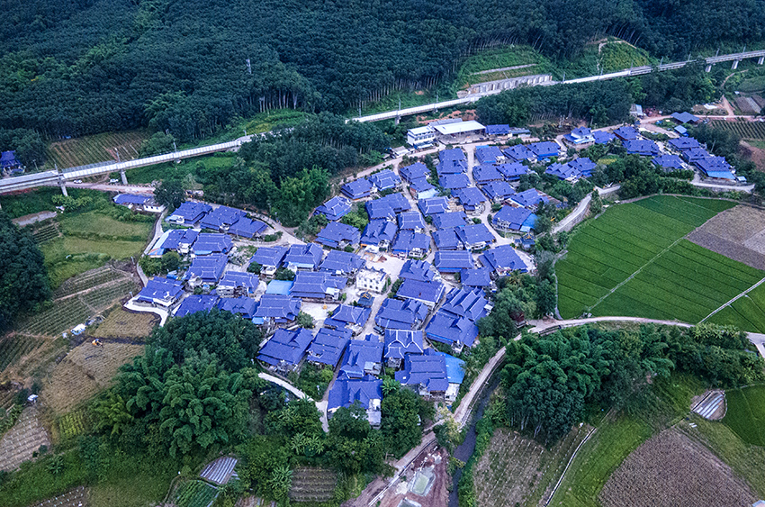 磨憨鎮(zhèn)曼莊村大龍哈小組現(xiàn)代化邊境幸福村新貌。人民網(wǎng)記者 符皓攝