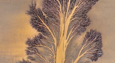 大自然的杰作！錢塘江又現(xiàn)“潮汐樹”