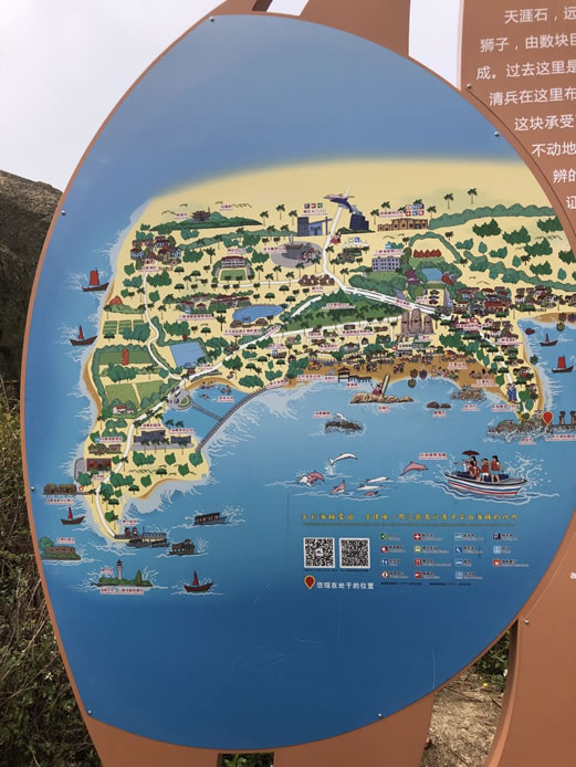 ������ΈD