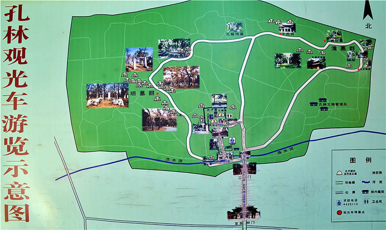 ���֌��ε؈D