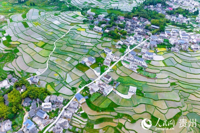 �����F��л�Ϫ�^(q��)��������������W(w��ng)ӛ�� Ϳ���z