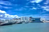 ���ލu