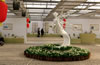 �������绨�ܴ��^