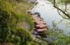 �f�`���(zh��n)
